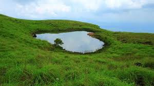 പാനാശനങ്ങൾ