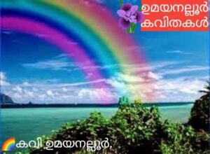 കാവ്യവർണ്ണങ്ങൾ*