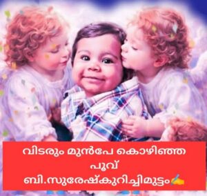 വിടരുംമുൻപേകൊഴിഞ്ഞപൂവ്