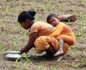 തെറ്റാണെങ്കിൽ വന്നു പറയു… 🙏