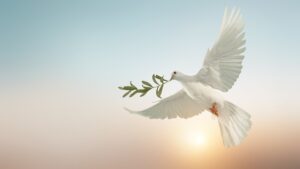 അന്ത്യ കർമ്മം ( യുദ്ധം )