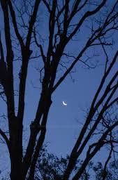 കവിതയിലെ നിഴലും നിലാവും