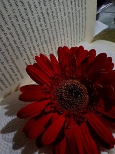 നീ ഓക്കേ അല്ലേ?