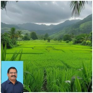 വയൽ