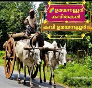 *വണ്ടിക്കാളകൾ..