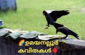 *ബലിക്കാക്കകൾ..