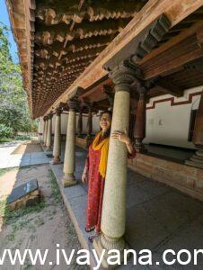 ഒരു ചാരുകസേരയിലേക്ക്         ചുരുങ്ങിക്കൂടും മുമ്പ്